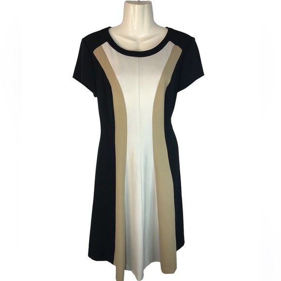 Dress Barn Dresses & Skirts - Dress Barn women’s dress neutral office flare skirt knee length